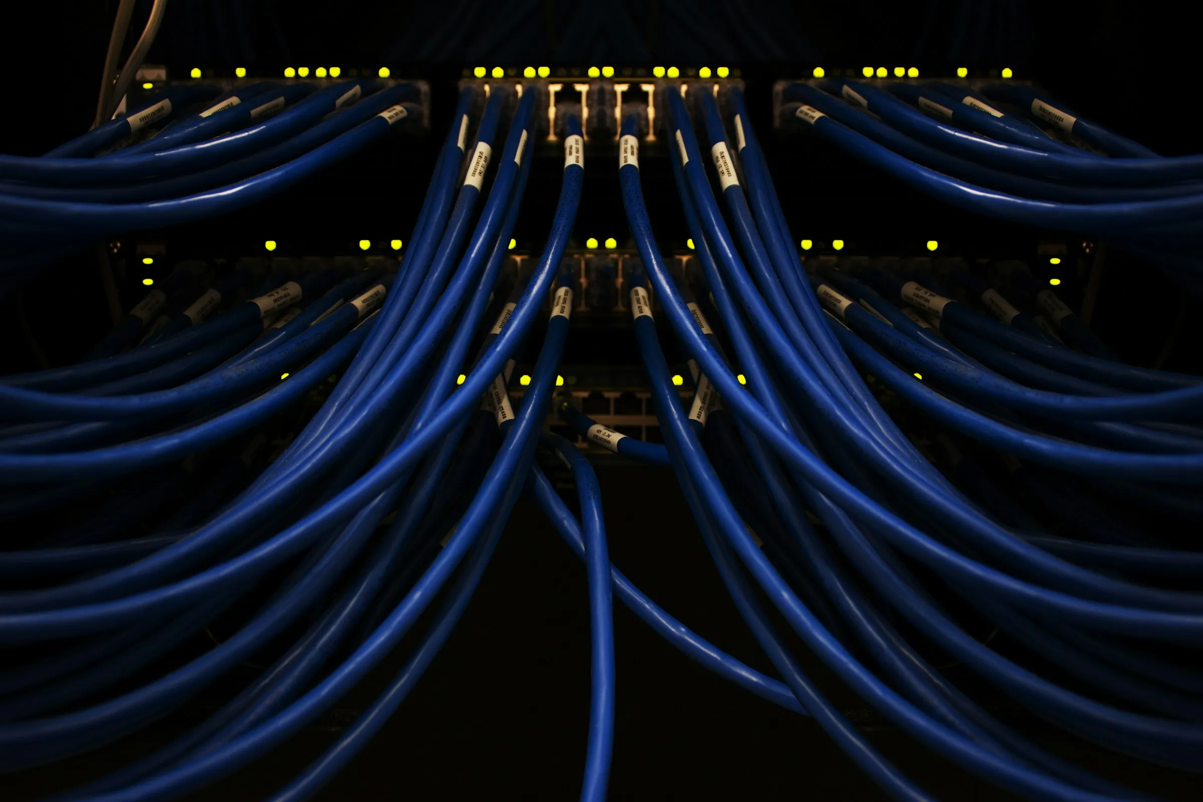 Zahlreiche blaue Netzwerkkabel, die aus den Ports eines Switches führen